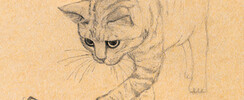 La Dessinerie - Cours de dessin ados/adultes