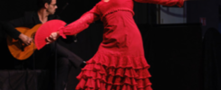 Azafran Flamenco - Danse & Musique